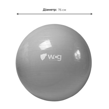 М'яч для фітнесу (фітбол) WCG 75 Anti-Burst 250кг Сірий + насос