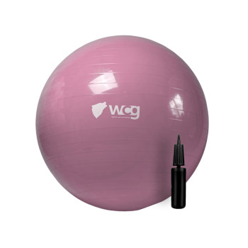 М'яч для фітнесу (фітбол) WCG 55 Anti-Burst 250 кг Pale Pink + насос