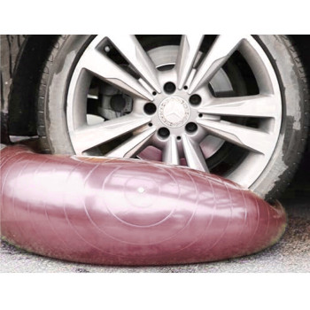 М'яч для фітнесу (фітбол) WCG 55 Anti-Burst 250 кг Pale Pink + насос