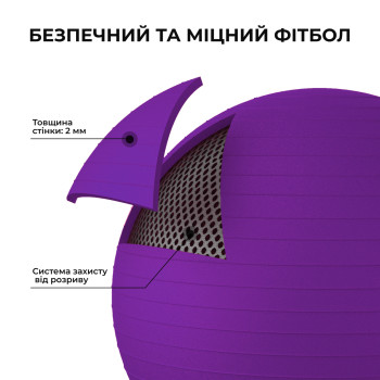 М'яч для фітнесу (фітбол) WCG 65 Anti-Burst 300кг Фіолетовий + насос