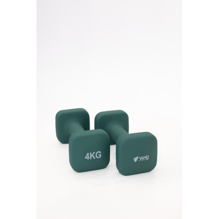 Гантелі для фітнесу WCG NeoCube 2×4 кг