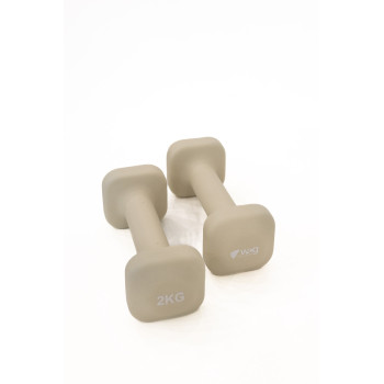 Гантели для фитнеса WCG NeoCube 2×2 кг