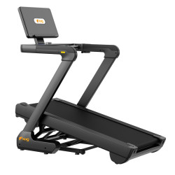 Беговая дорожка электрическая WCG-HS615S (4.0 HP Brushless, 150 кг) Бесплатная доставка