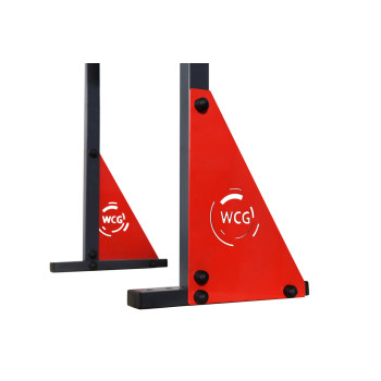 Настенный турник WCG Elite SE 030