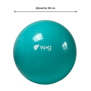 М'яч для фітнесу (фітбол) WCG 65 Anti-Burst 300кг Бірюзовий насос