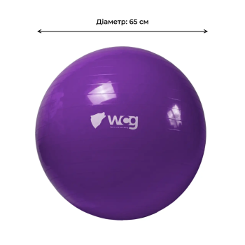 М'яч для фітнесу (фітбол) WCG 65 Anti-Burst 300кг Фіолетовий + насос