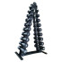 Гантельний ряд RN-Sport BLACK 1-10 кг зі стійкою