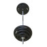 Металева штанга RN-Sport Quatro 105 кг (2х20,4х10,2х5,2х2.5,2х1.25+1.8 м) quatro27_105
